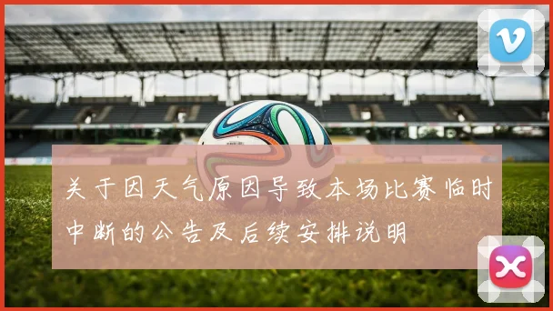 关于因天气原因导致本场比赛临时中断的公告及后续安排说明